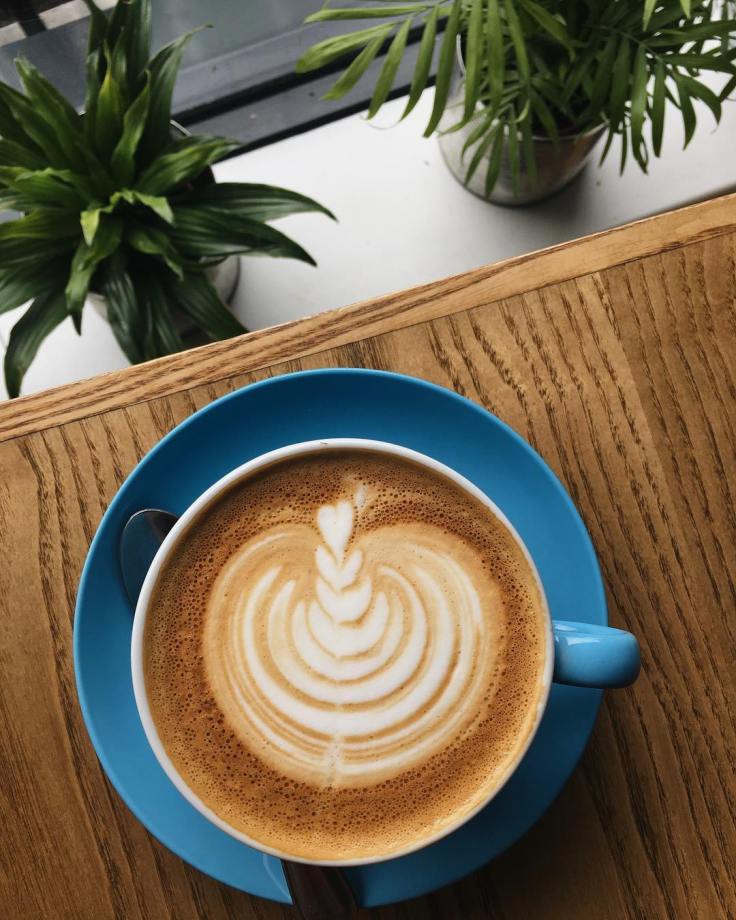 21372492_333676750377621_4801807285565259776_n(1)